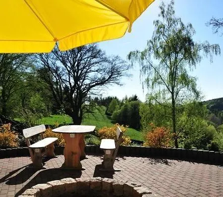 In Hohegeiss Mit Grill Und Garten Appartement