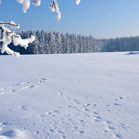 In Hohegeiss Mit Grill Und Garten Appartement Braunlage